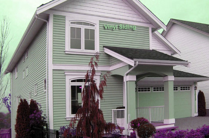 Vinyl Siding